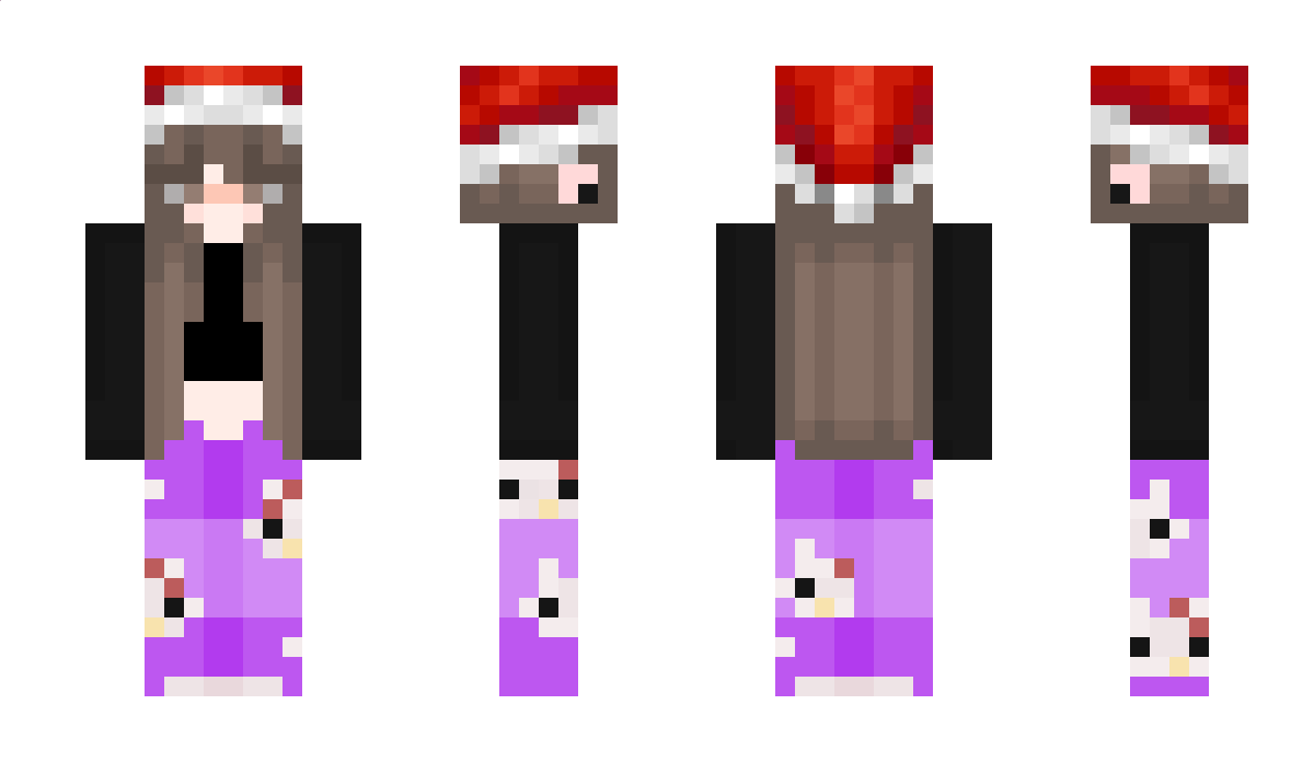 NikolCZSK Minecraft Skin