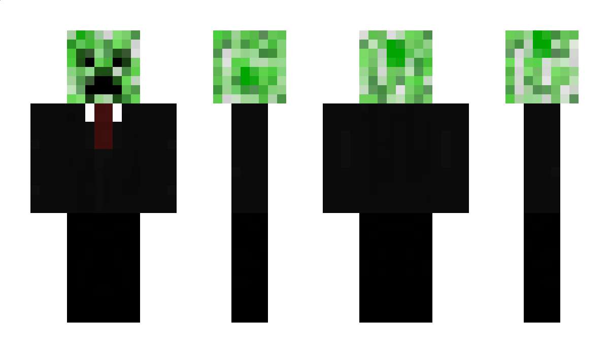 flat1 Minecraft Skin