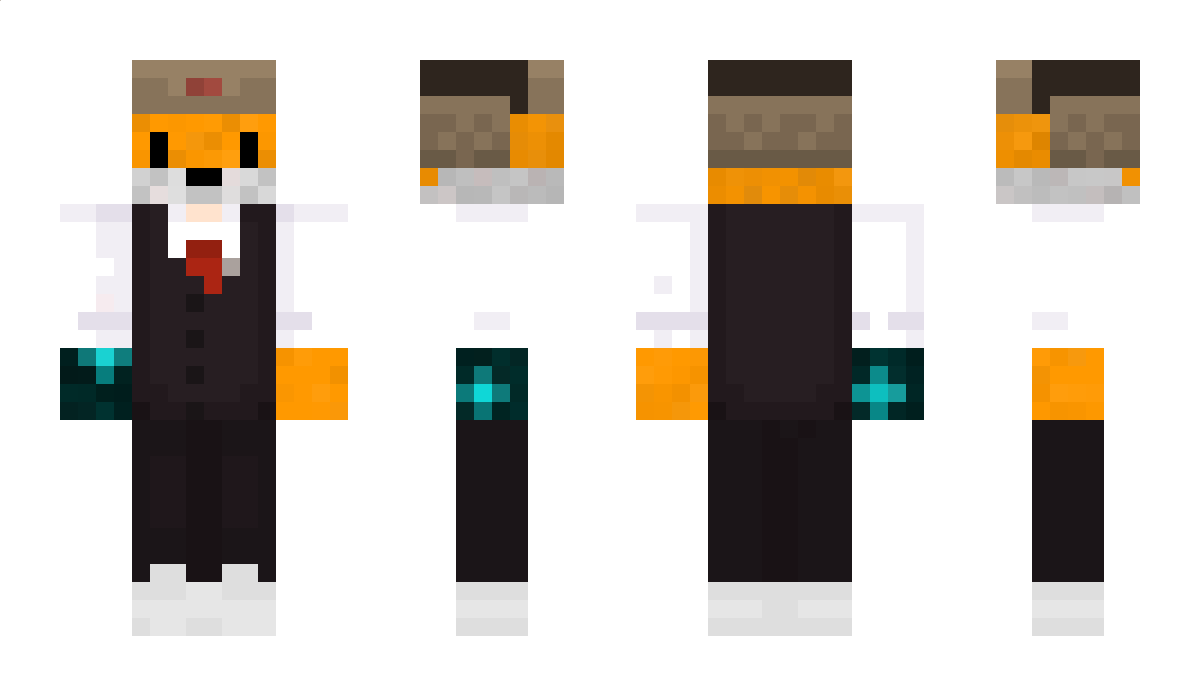 oiseausolo Minecraft Skin