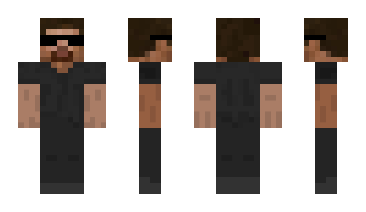 275 Minecraft Skin