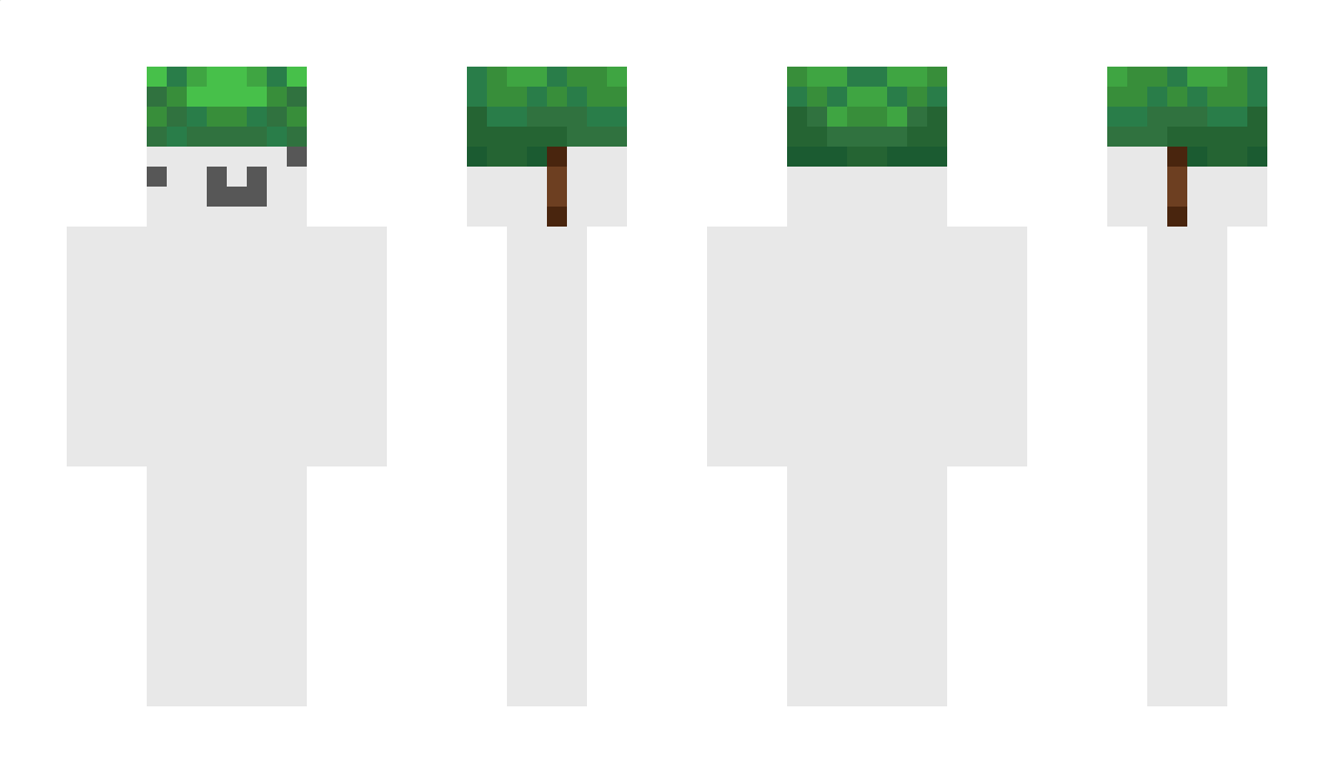 Cornerate Minecraft Skin