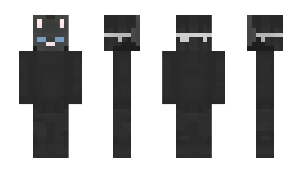 iCats Minecraft Skin