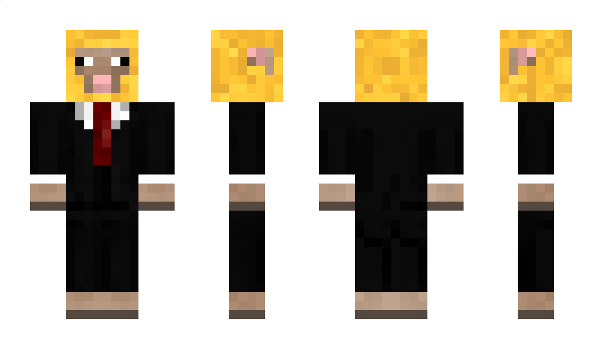 YellowLlama8964 Minecraft Skin