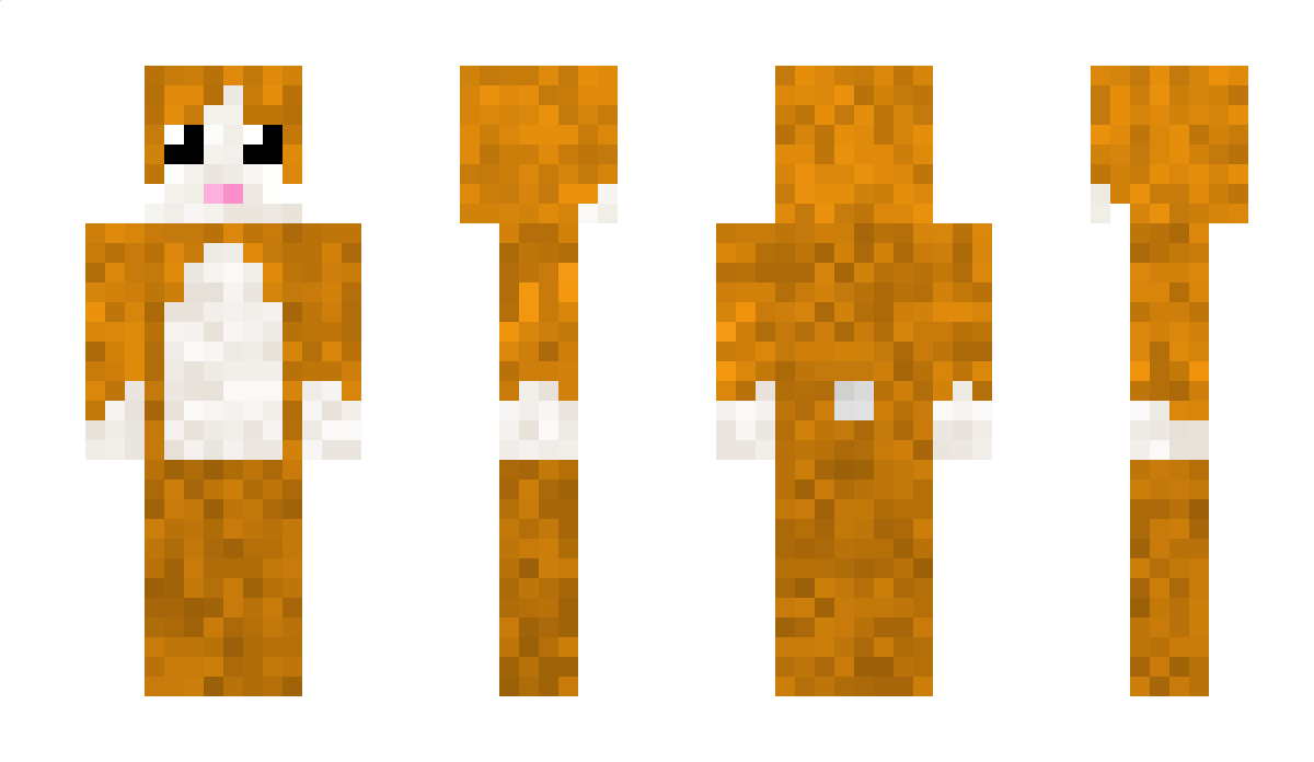 Andgames Minecraft Skin