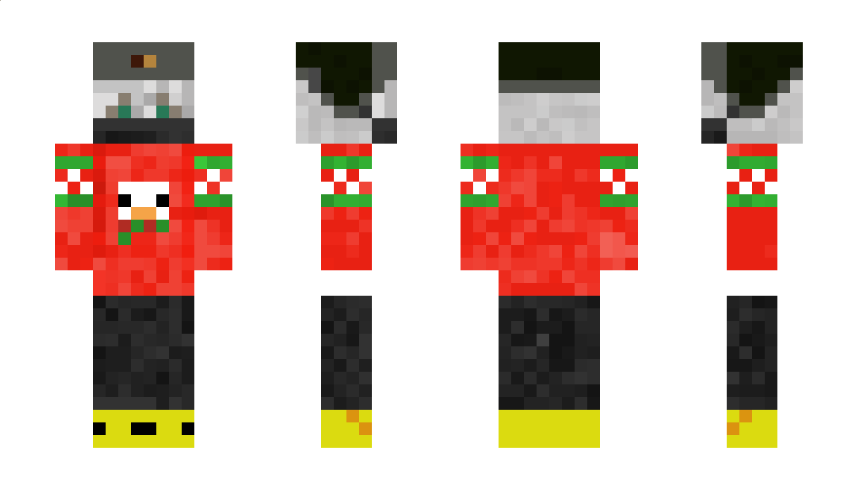 RobixTpl Minecraft Skin