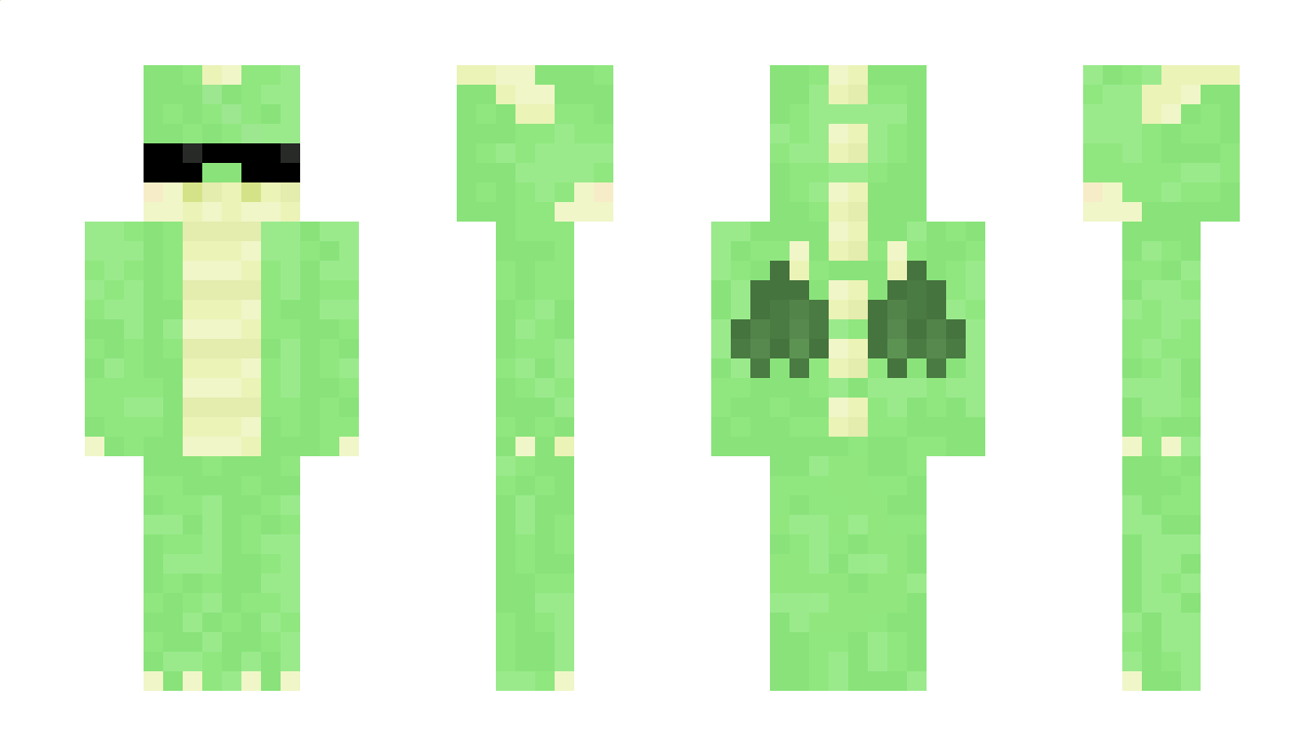 Droogel Minecraft Skin