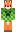 Minecraft Skin