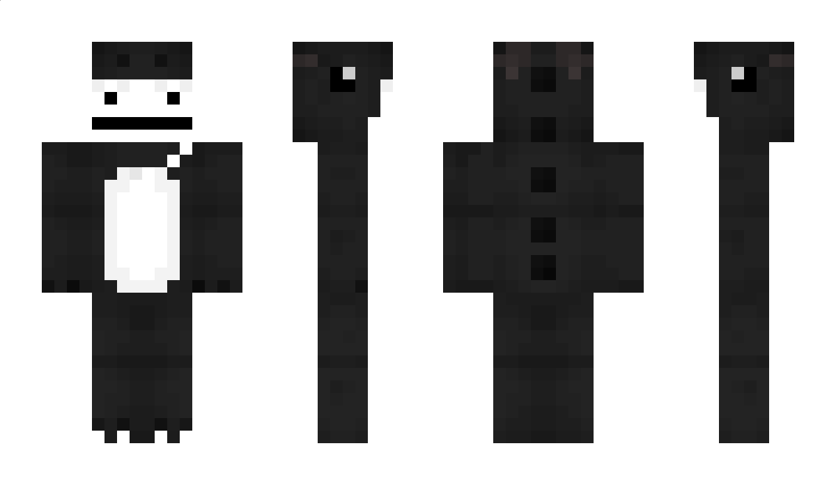 Pard0YT Minecraft Skin