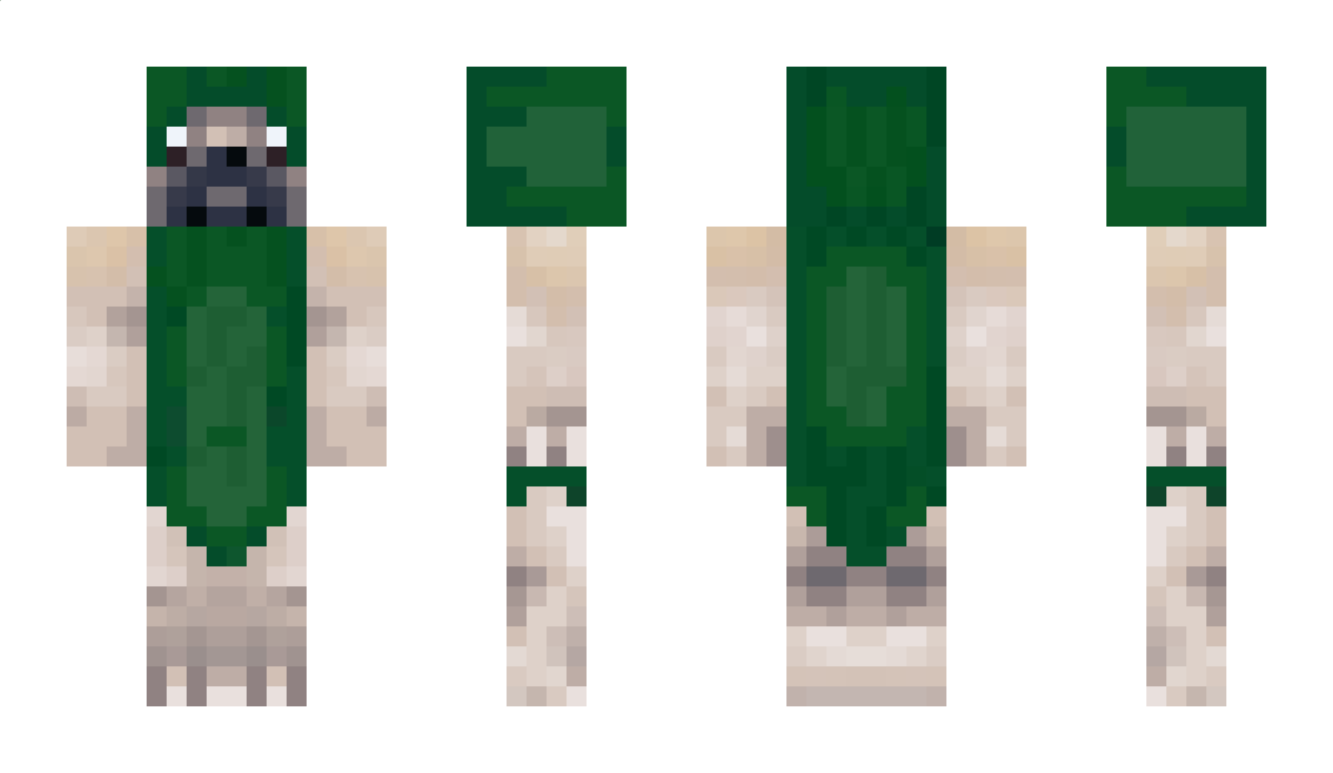 DaFlopy2 Minecraft Skin