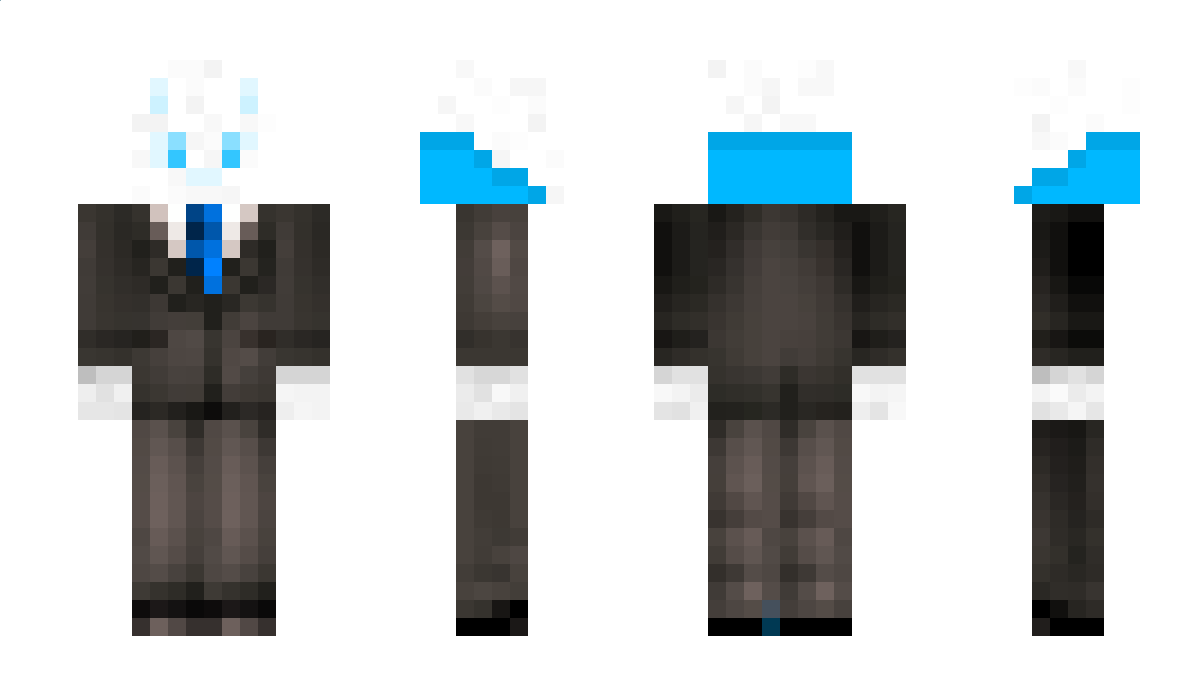 Polokalap Minecraft Skin