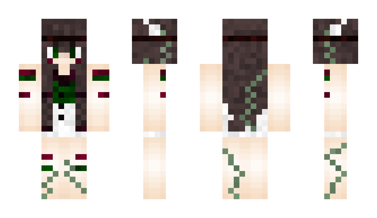 ndi Minecraft Skin