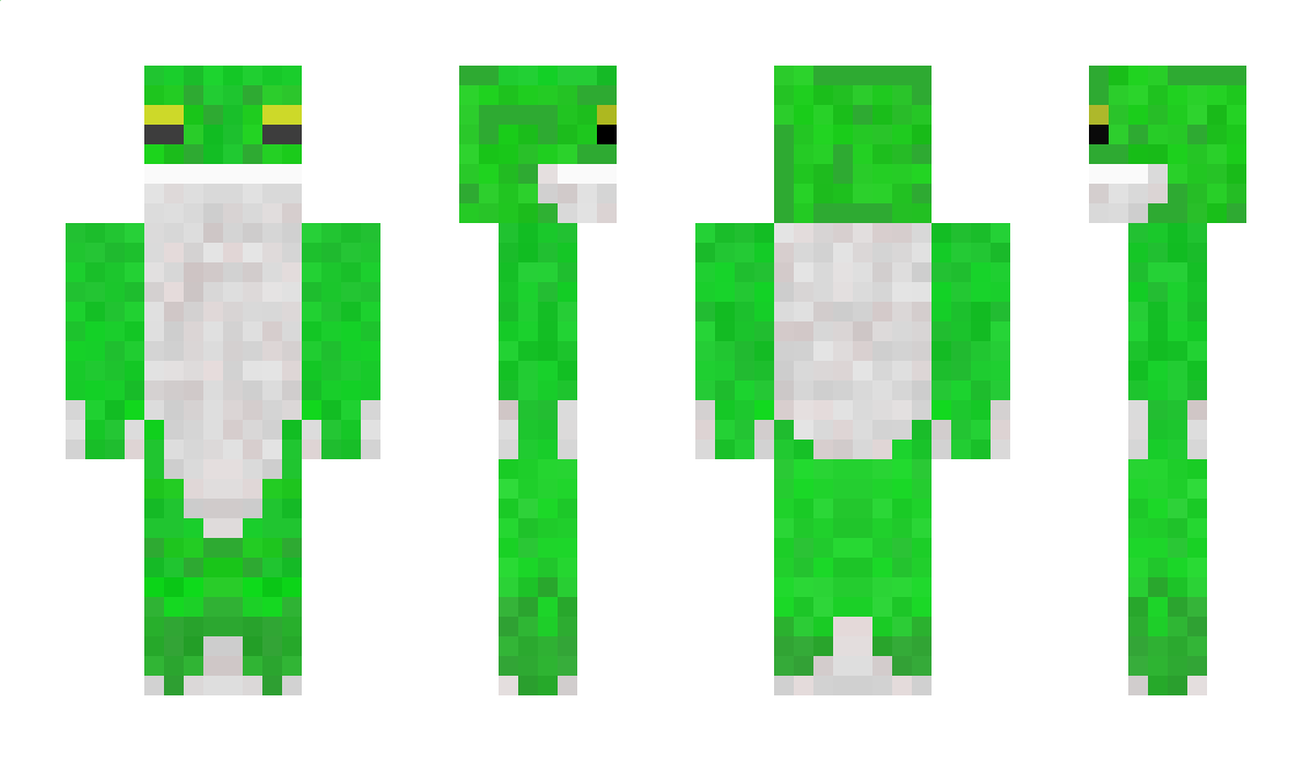 Louie240119 Minecraft Skin