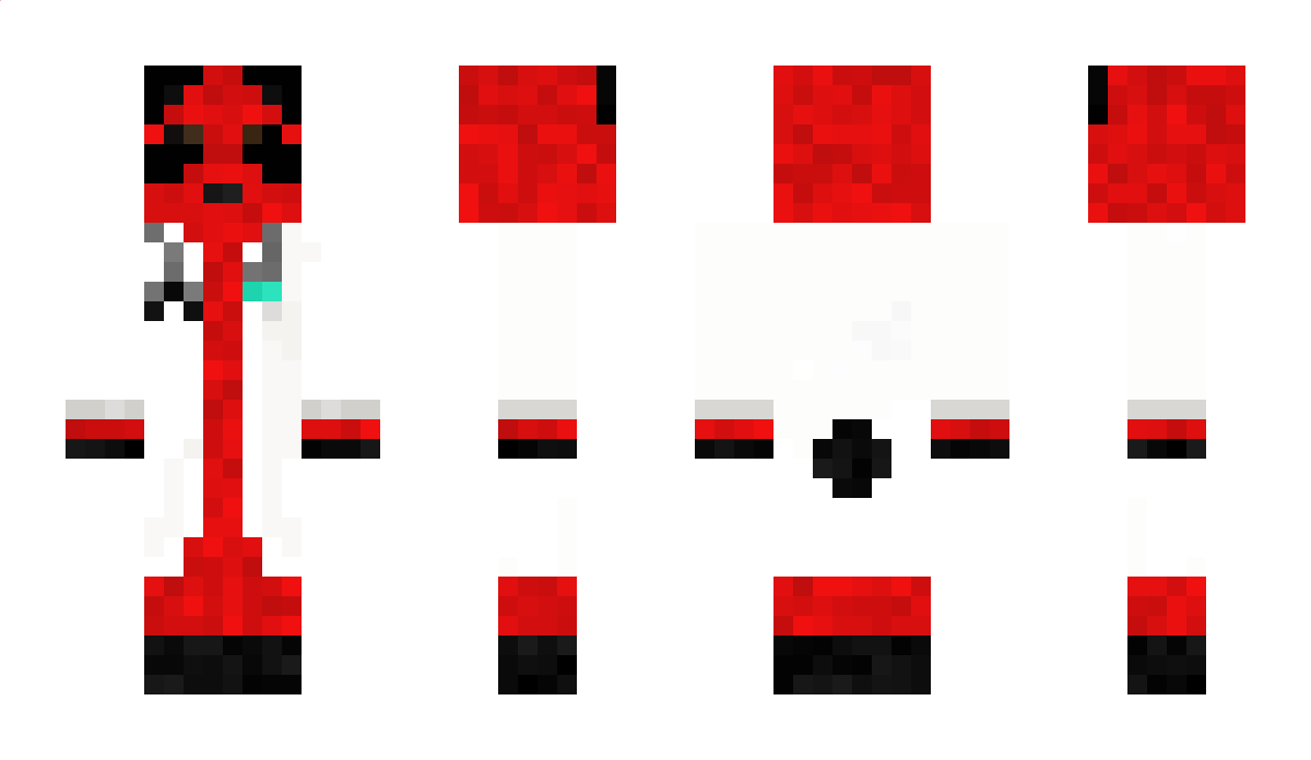 DrRedPanda2 Minecraft Skin