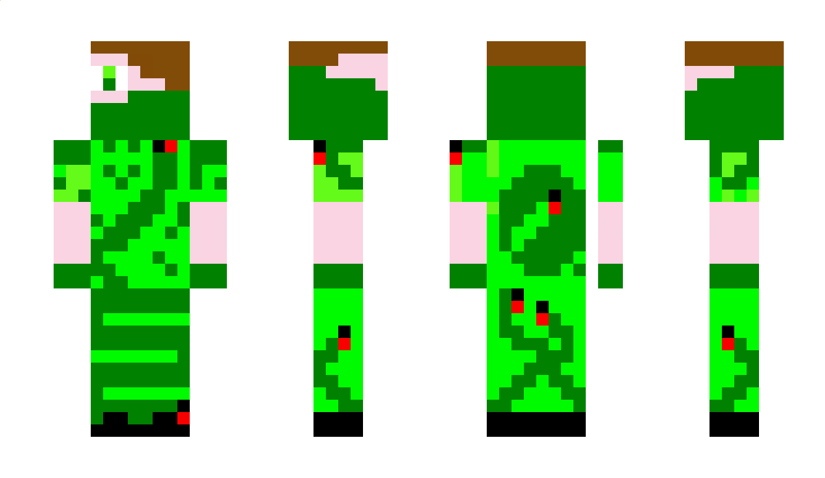 MokasynBlotniak Minecraft Skin