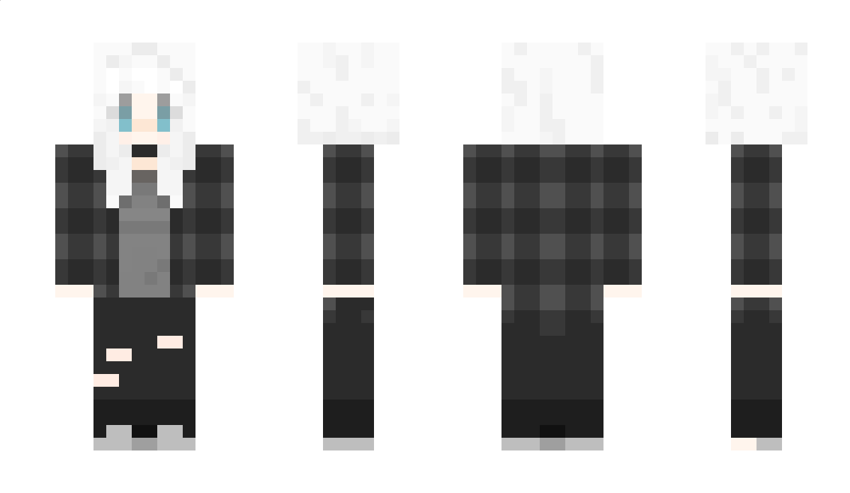 Heckcetera Minecraft Skin