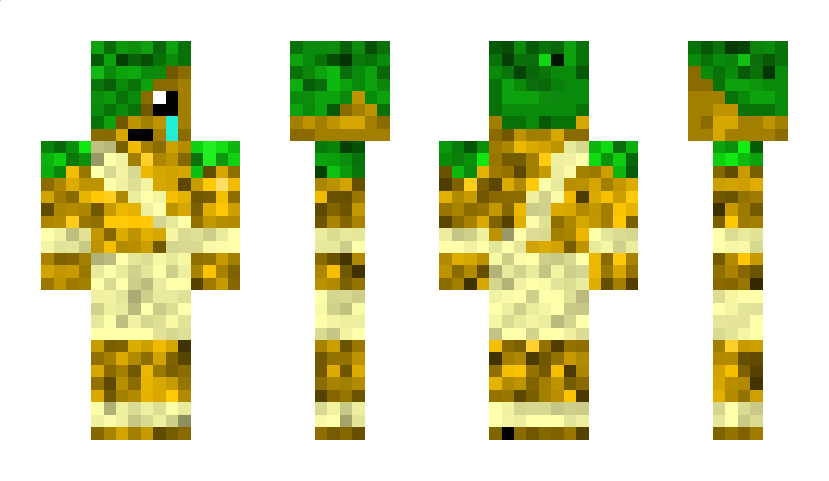 _Dirpty_ Minecraft Skin