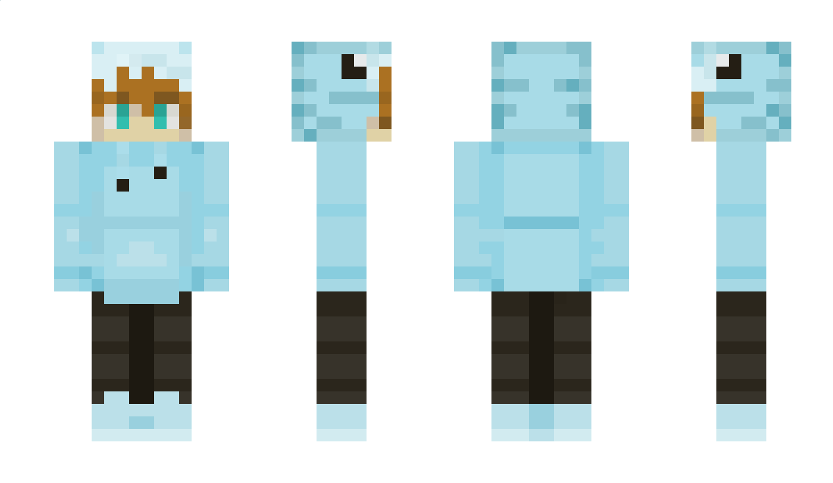 MrMiaushko Minecraft Skin