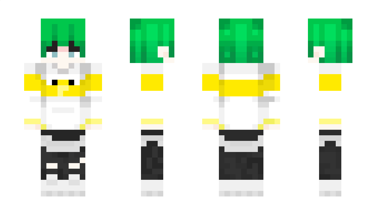 hawk_t7t Minecraft Skin