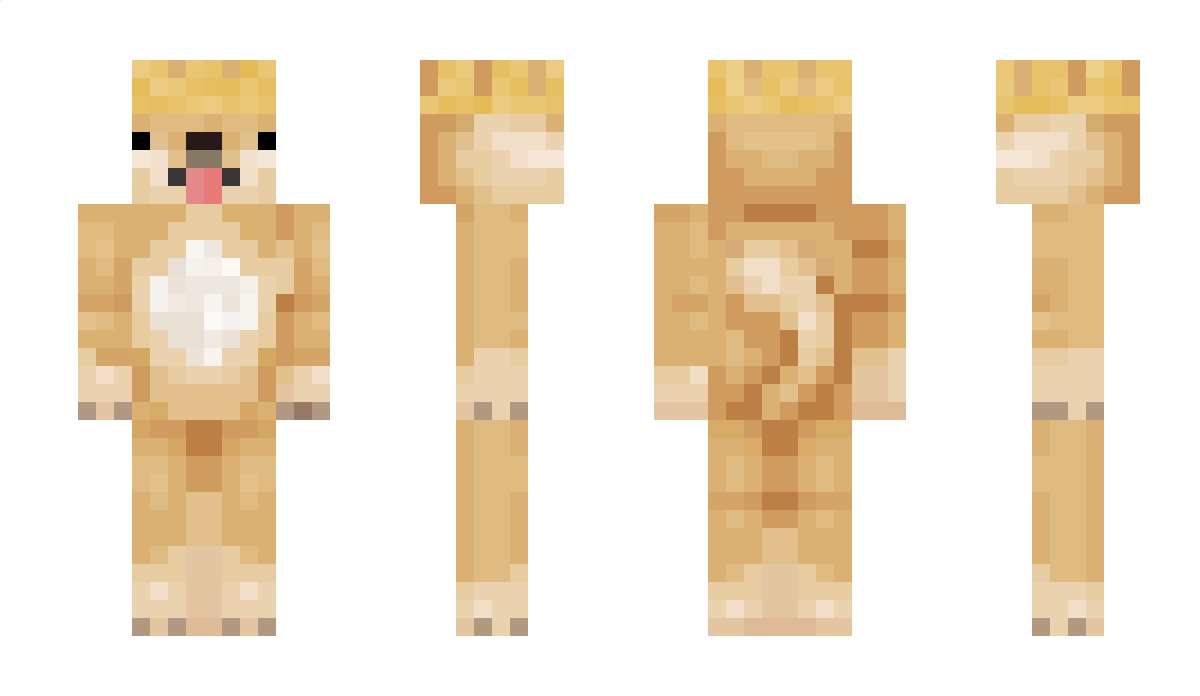 Aier Minecraft Skin