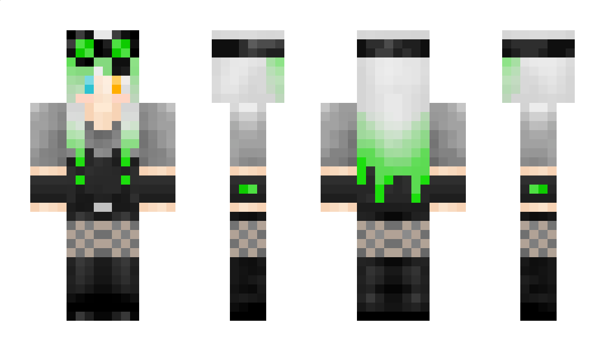 fasalina Minecraft Skin