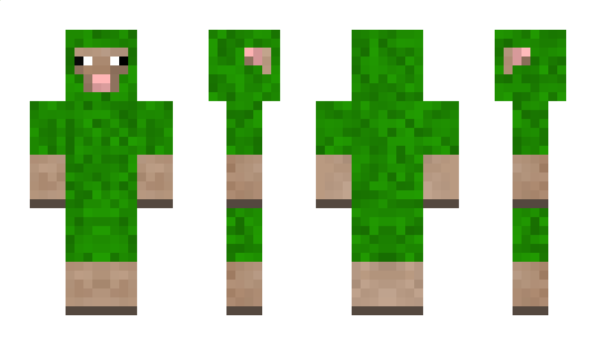 BellaRiso Minecraft Skin