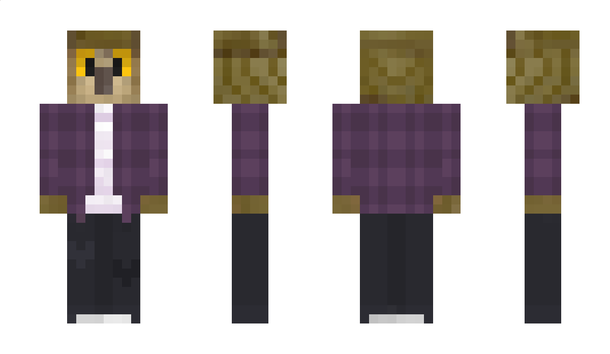 byErwin Minecraft Skin