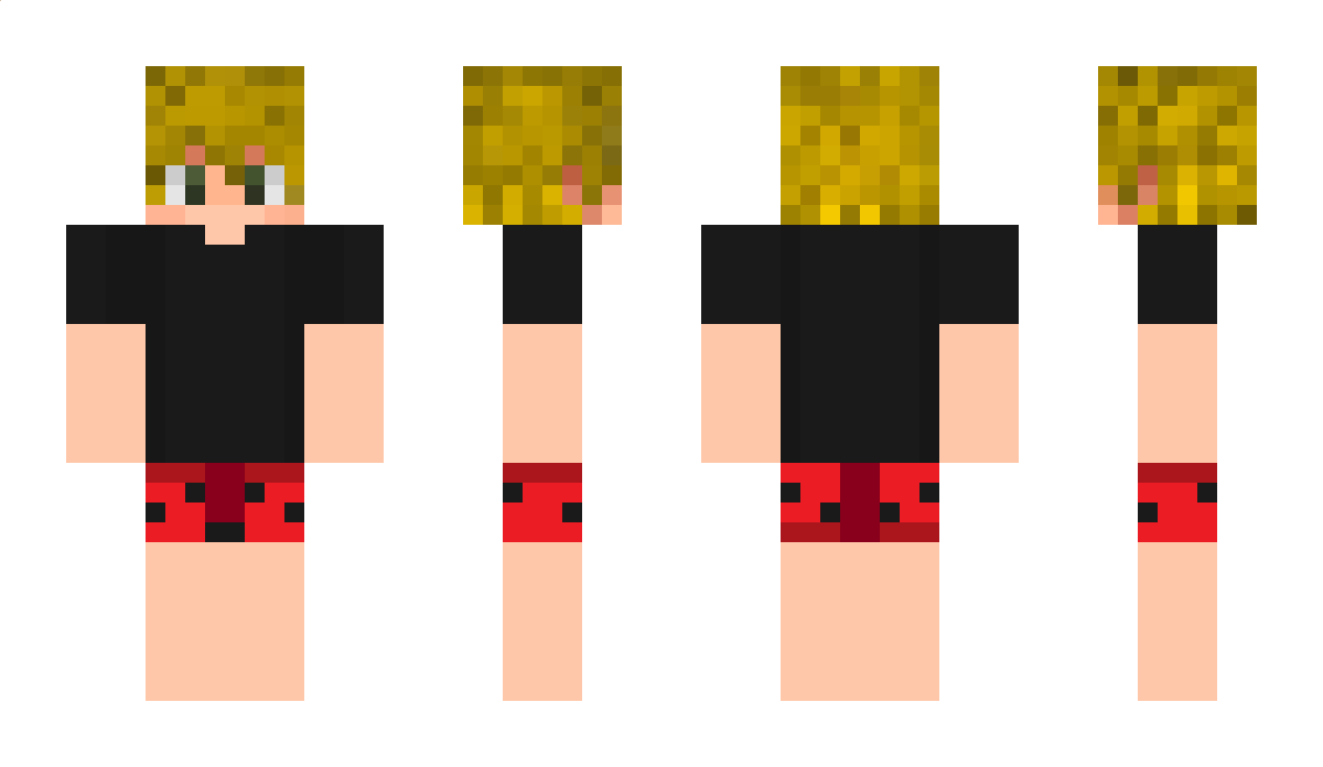 dsetflicks Minecraft Skin