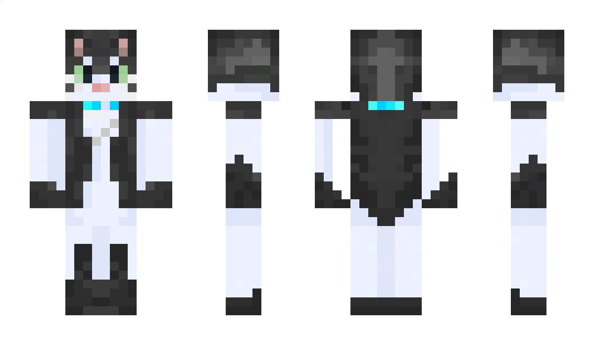 stoponerr Minecraft Skin