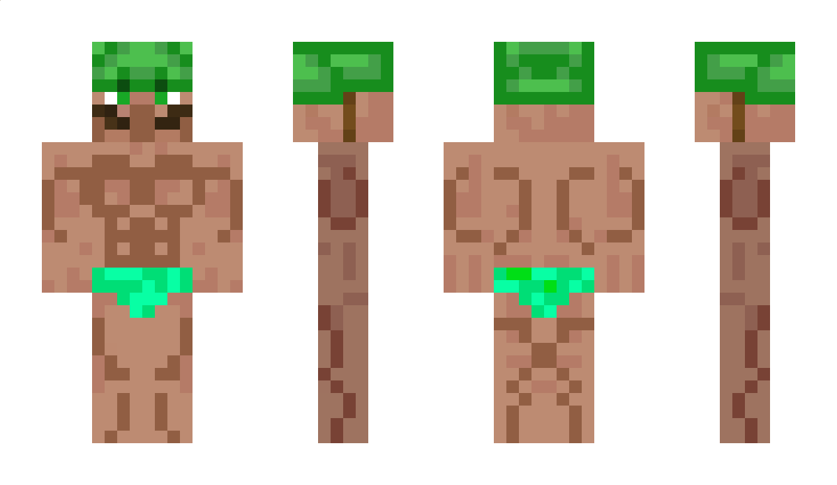 Mewdox Minecraft Skin