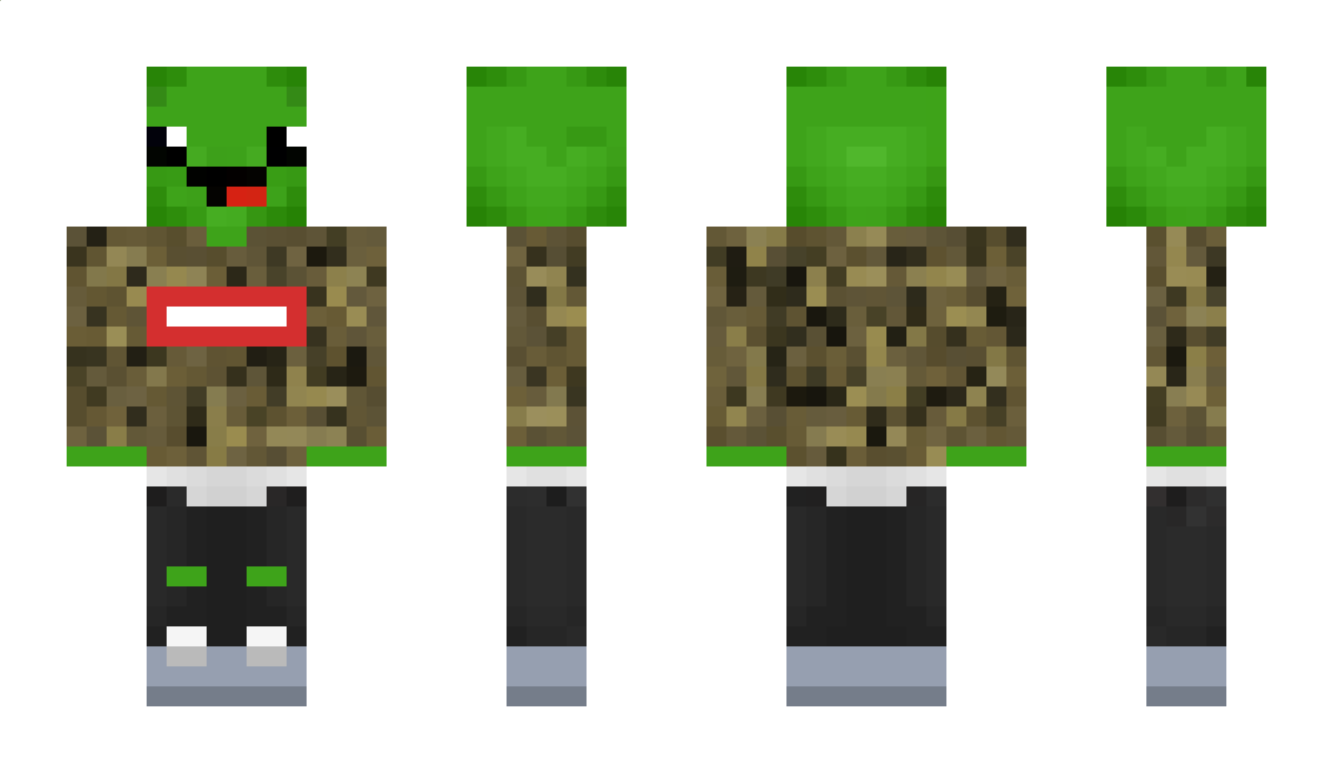 SapTurtle Minecraft Skin