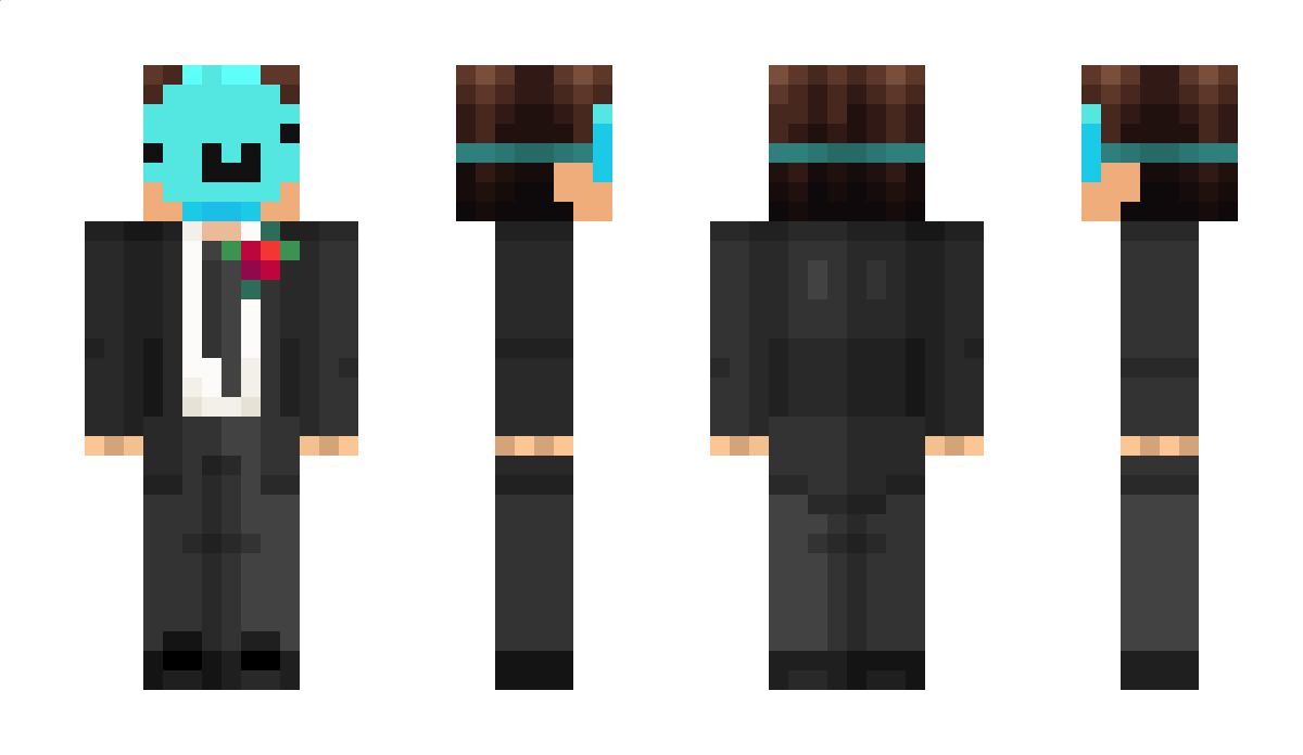 pokrzywka2 Minecraft Skin