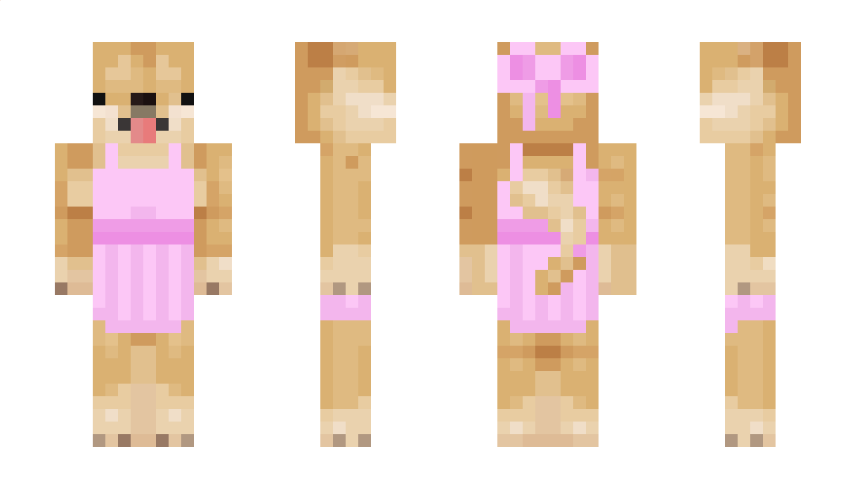 Hundmos Minecraft Skin