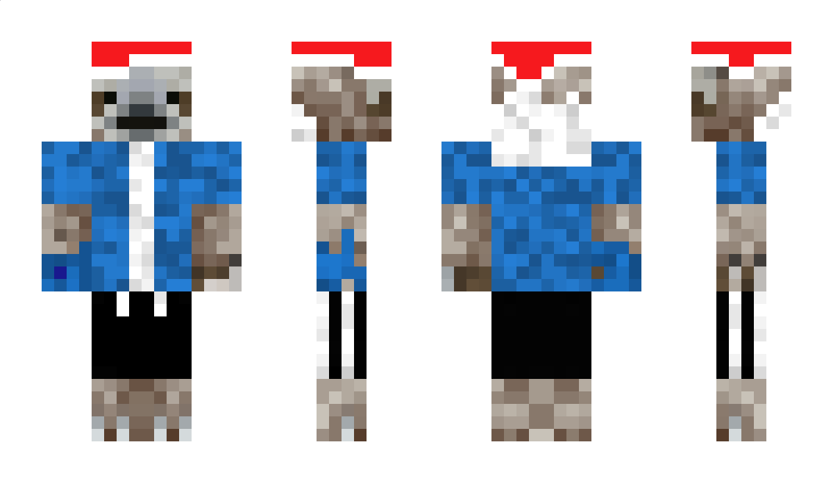 Thenewchicken Minecraft Skin