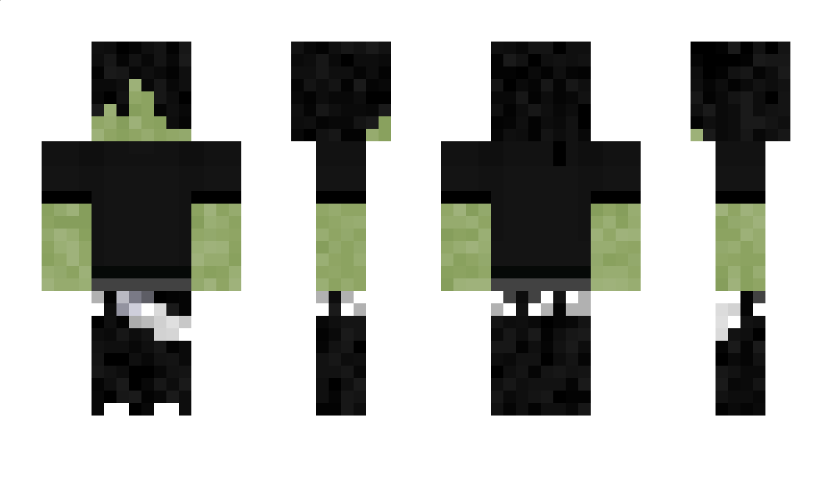 D37 Minecraft Skin