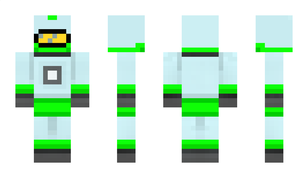 WiseTraveller Minecraft Skin