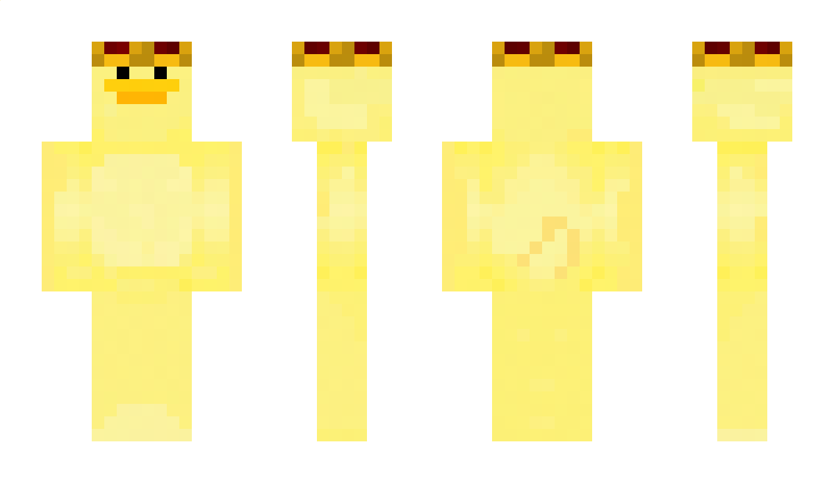 Duckking2439 Minecraft Skin