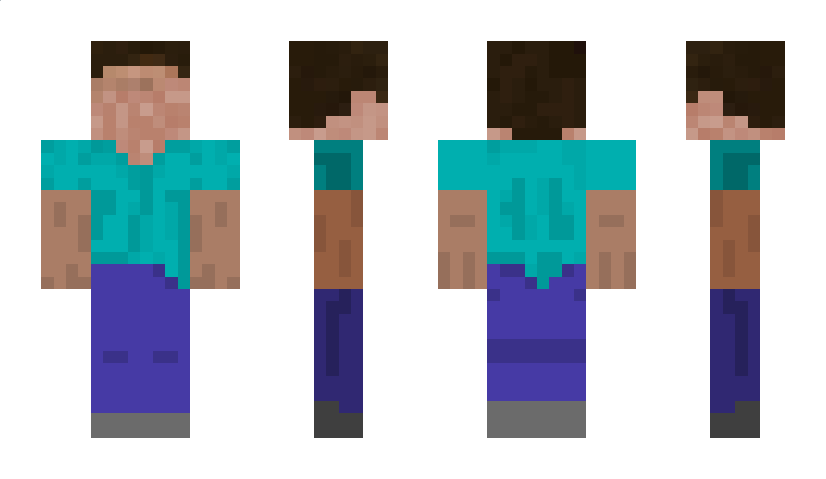 duckflag Minecraft Skin