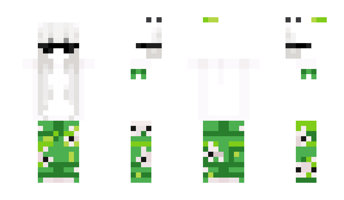 sakhyn Minecraft Skin