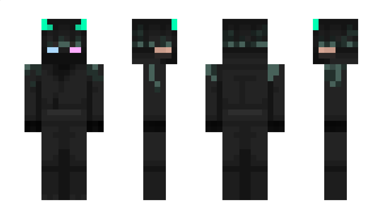 Zinjinx Minecraft Skin