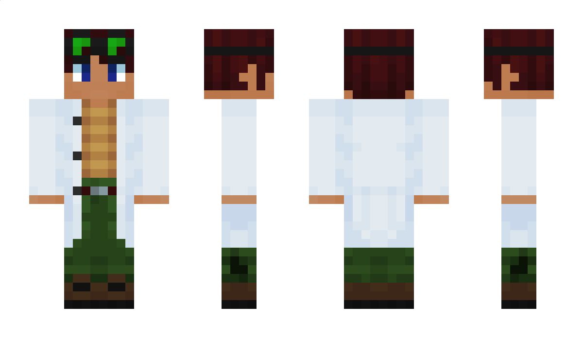 Raaviland Minecraft Skin