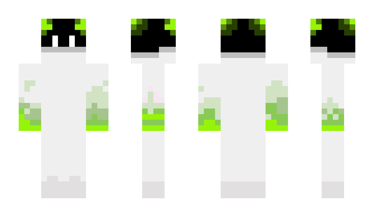 AnxaiIndustries Minecraft Skin