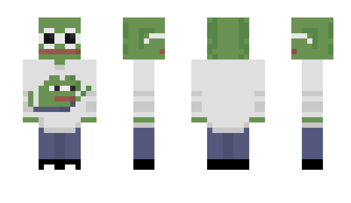 rafiflaffi01 Minecraft Skin