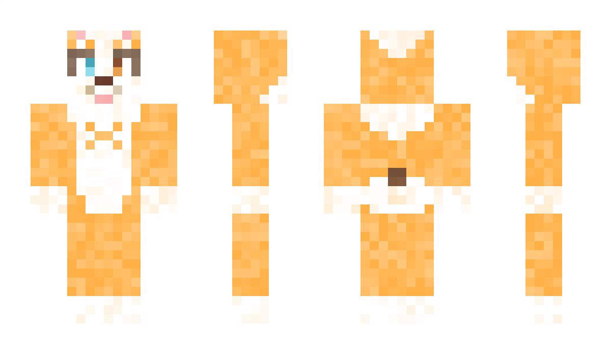 CorgiCam Minecraft Skin