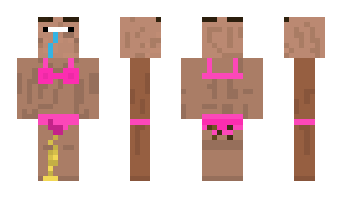 maxi4328 Minecraft Skin