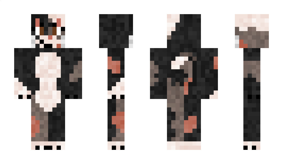 commando03 Minecraft Skin