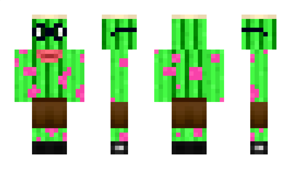 Phinuu187erz Minecraft Skin