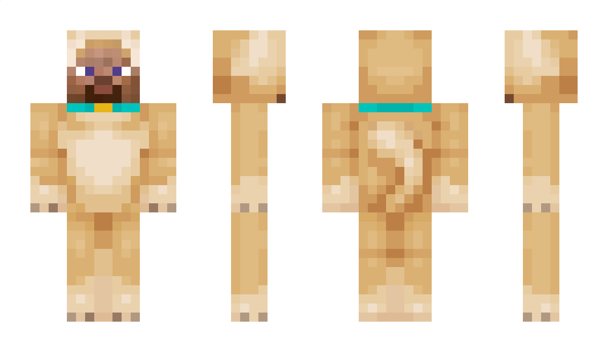 Roof Minecraft Skin