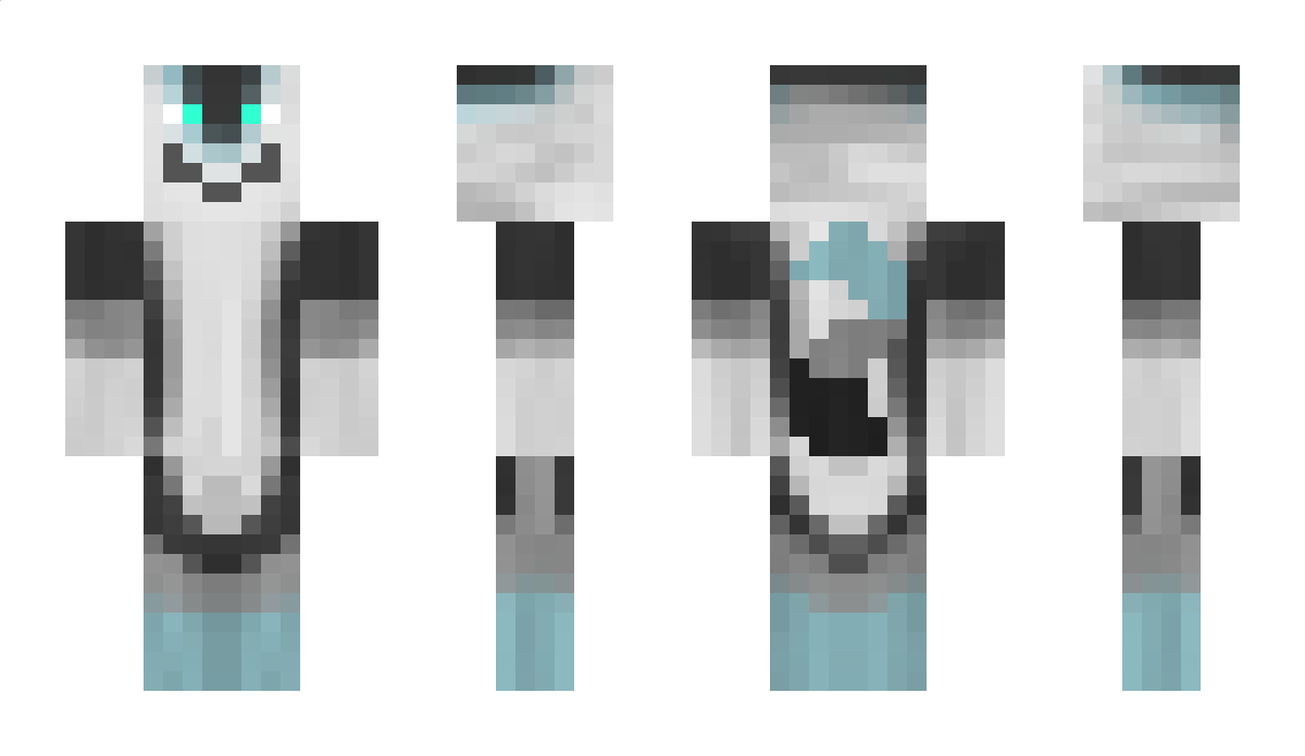 ArixZajicek Minecraft Skin