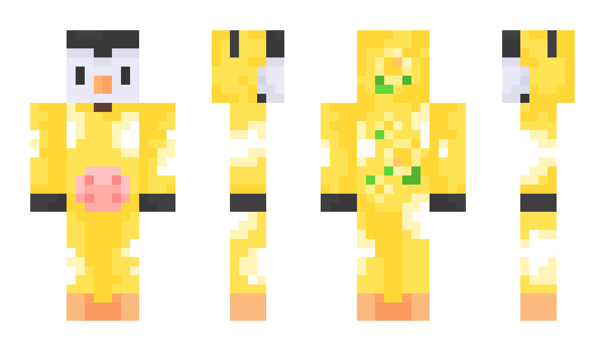 SkyBv Minecraft Skin