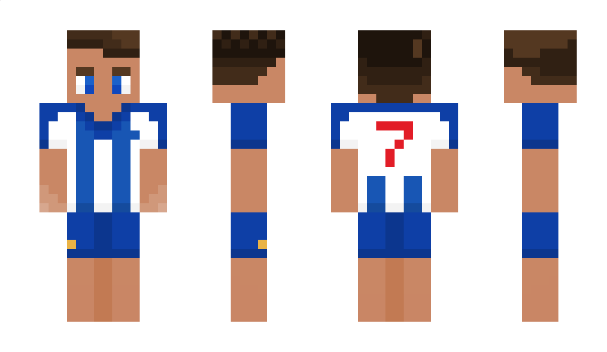 FCPorto Minecraft Skin